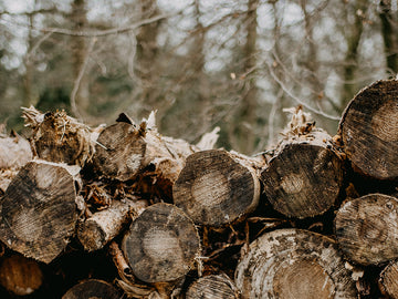 傳奇之木|Blue, Blue